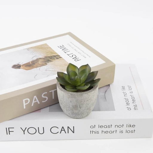 CAMAS - Artificial Succulent Plant in Pulp Pot